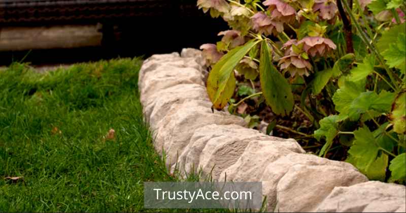 Flower Bed Edging Landscape Border Ideas