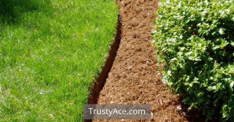 Partial Mulch Bed With Spade Edge Landscape Border Ideas