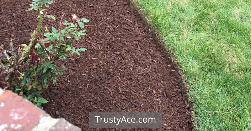 Landscape Border Ideas With Mulch