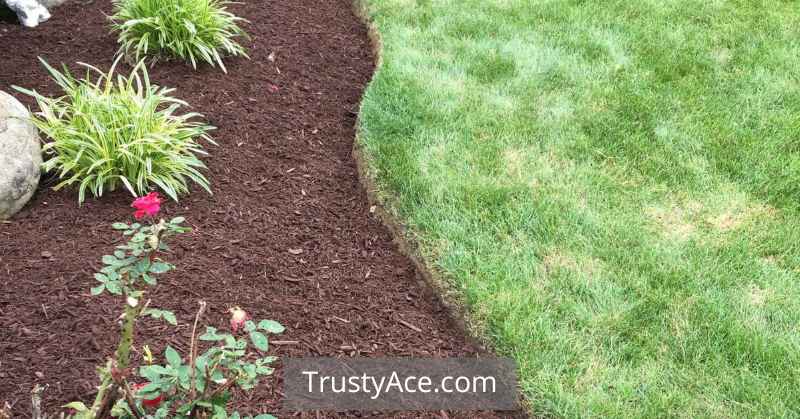 Mulch Landscape Border Ideas