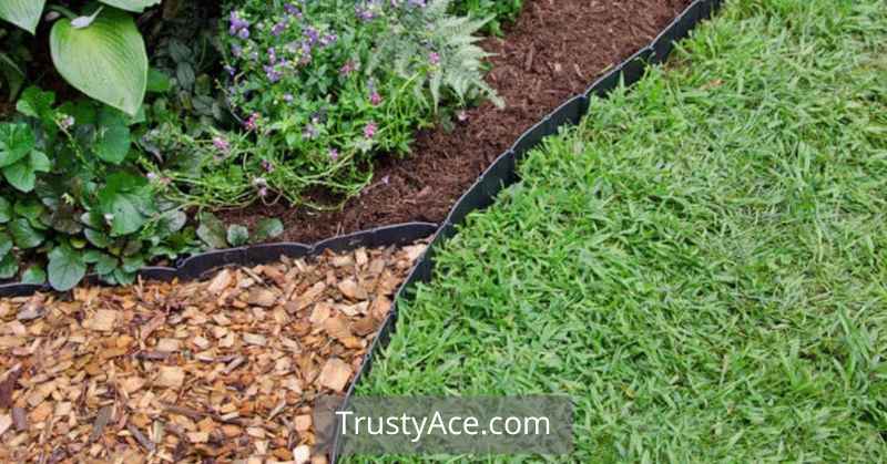 Plastic Landscape Border Ideas