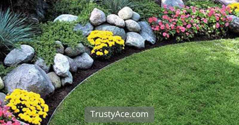 Landscape Border Ideas Plastic