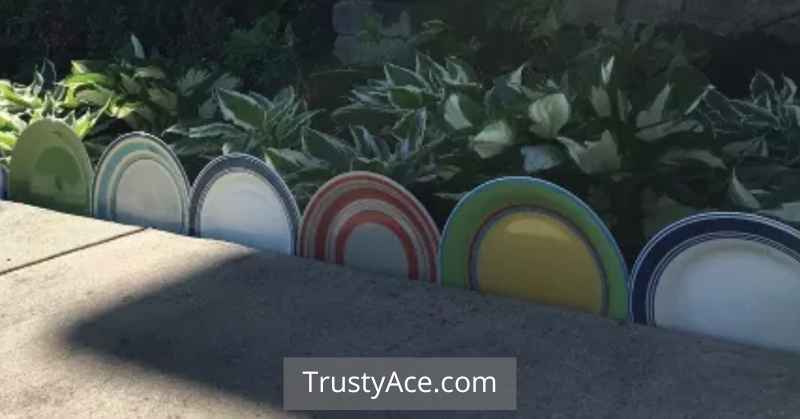 Plates Dishes Landscape Border Ideas