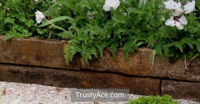 Landscape Border Ideas With Railroad Ties