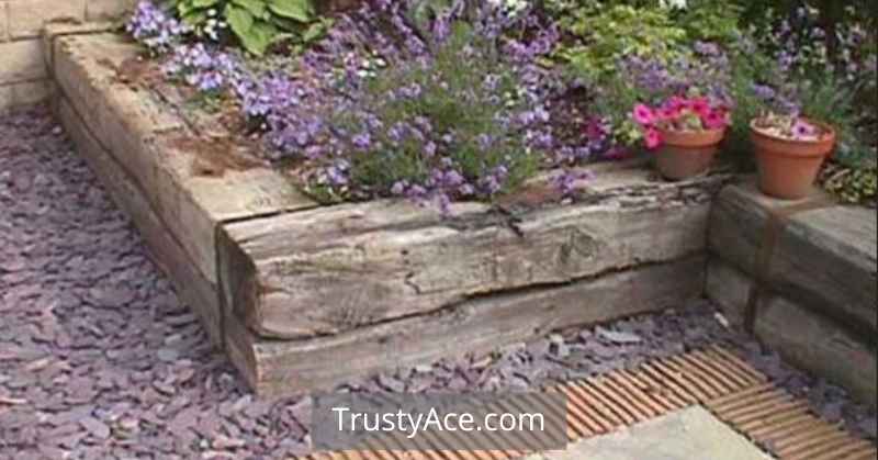 Natural Landscape Border Ideas