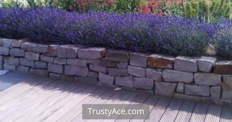 Linear Brick Landscape Border Ideas