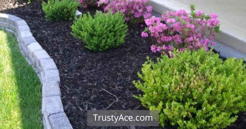 Rectangular Stones Edging Landscape Border Ideas