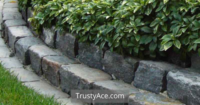 Landscape Border Ideas With Rectangular Stones Edging