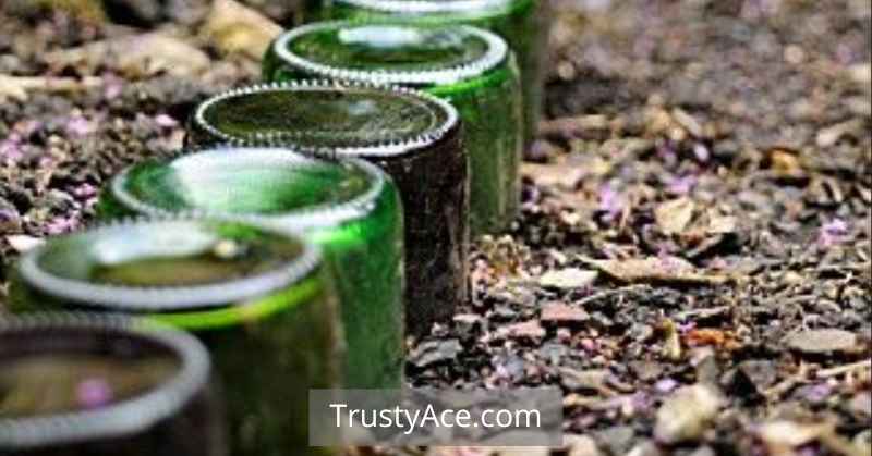 Recycled Glass Bottle DIY Landscape Border Ideas