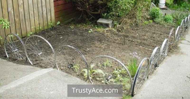 Landscape Border Ideas On A Budget With Recycled Metal Wheels