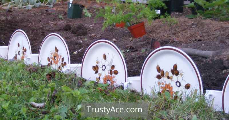 Recycled Plates Landscape Border Ideas