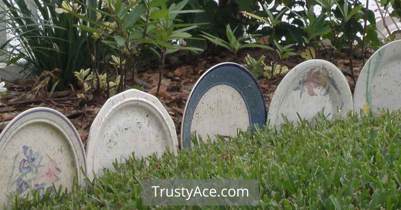 Landscape Border Ideas With Recycled Plates As Border