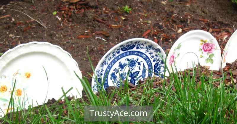 Cheap Landscape Border Ideas With Recycled Plates As Border