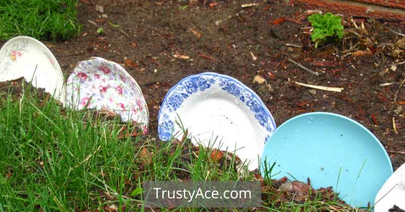 Inexpensive Landscape Border Ideas With Recycled Plates As Border