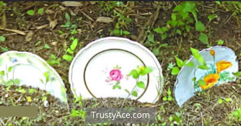 Recycled Plates As Border Inexpensive Landscape Border Ideas