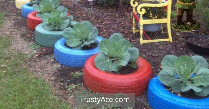 Creative Landscape Border Ideas With Recycled Tires