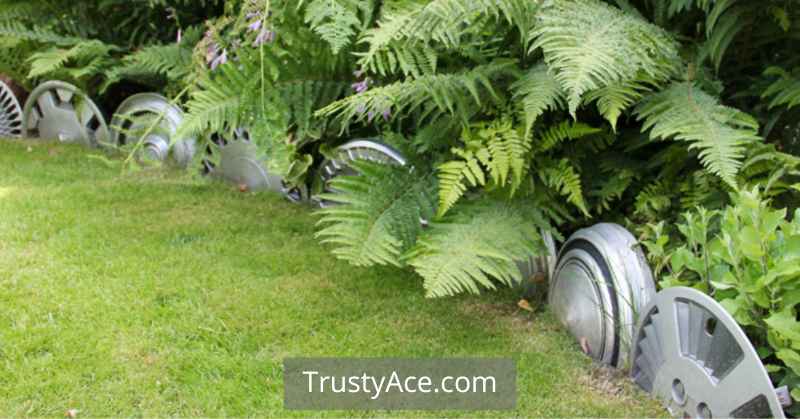 Recycled Wheels Edging For DIY Landscape Border Ideas