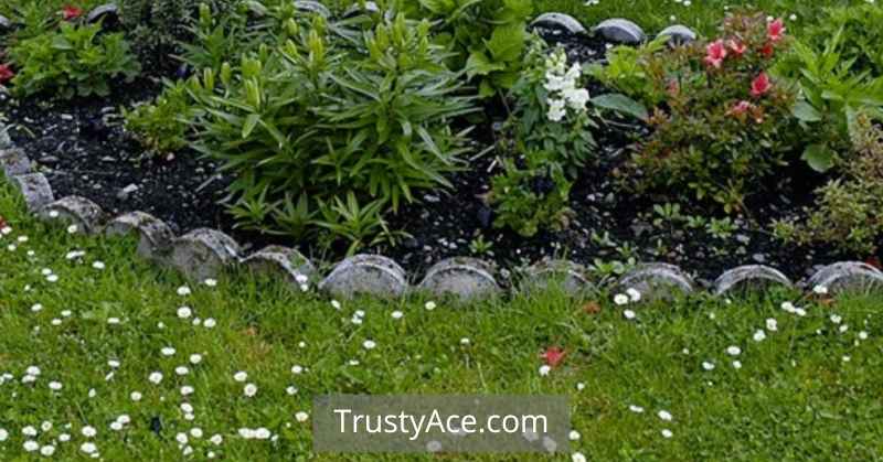 Landscape Border Ideas With Recycled Wheels