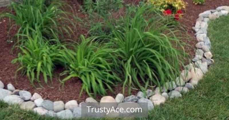 Landscaping Border Ideas With River Stone