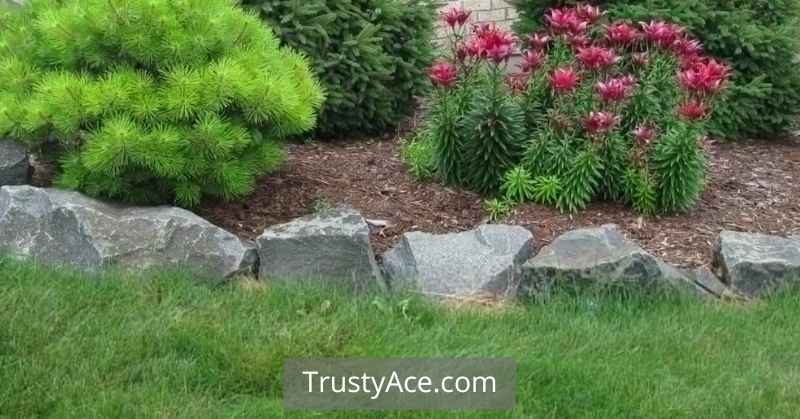 Rock Landscape Border Ideas