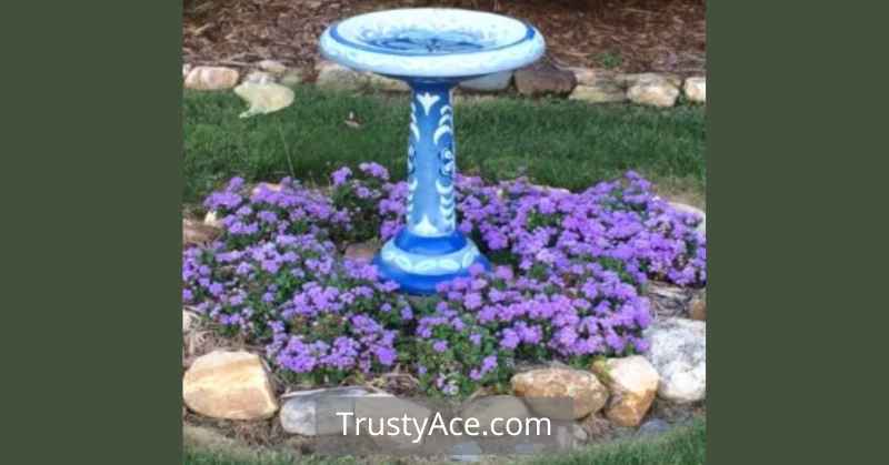 Landscape Border Ideas With Rock Edging And Rock