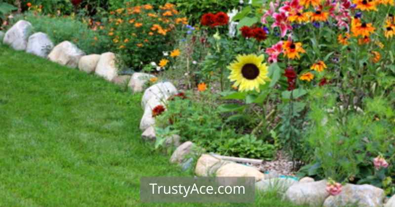 Rock Edging Landscape Border Ideas