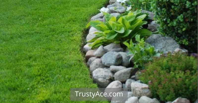 Rock Edging And Rock Landscaping Border Ideas