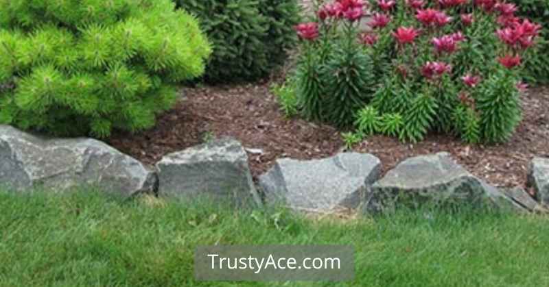 Landscape Border Ideas Rock Edging