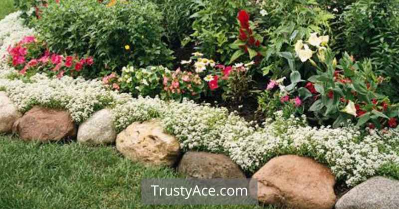 Rock Edging And Rock Landscape Border Ideas