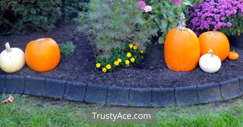 Black Landscape Border Ideas With Rubber Borders