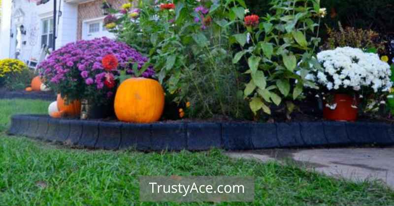 Landscape Border Ideas With Black Rubber