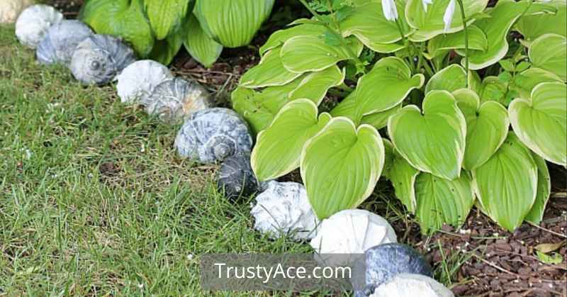 Ideas For Landscape Borders With Sea Shells For Edging