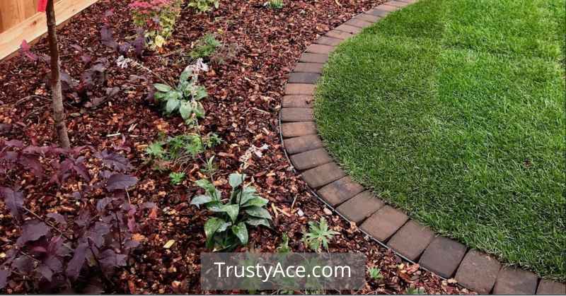 Single Row Of Red Brick In Ground Landscaping Border Ideas For Backyard