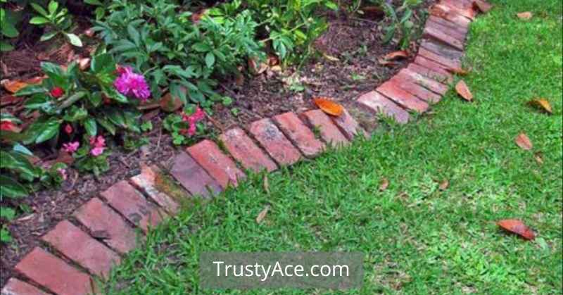 In Ground Landscaping Border Ideas With Single Row Of Red Brick