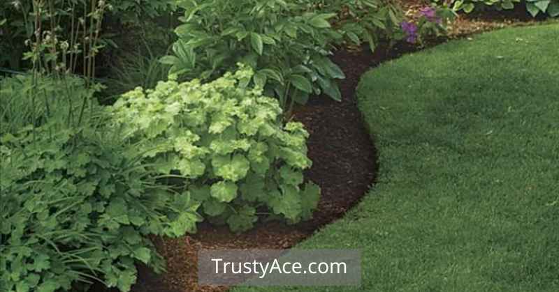 Diy Landscape Border Ideas