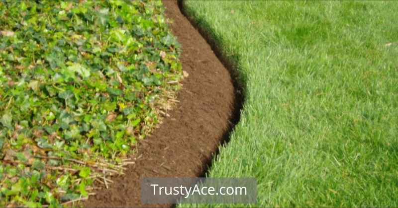 Best Landscape Border Ideas With Spade Edging