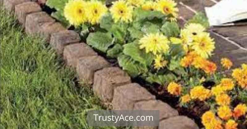 Landscape Border Ideas With Square Stone