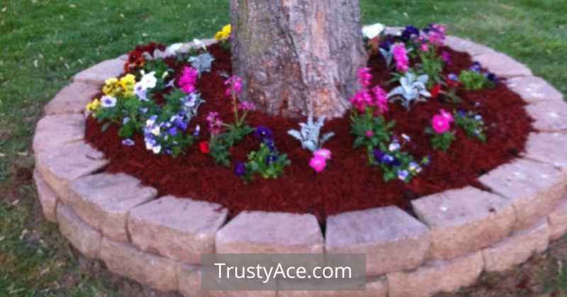 Landscape Border Ideas With Stone Edging