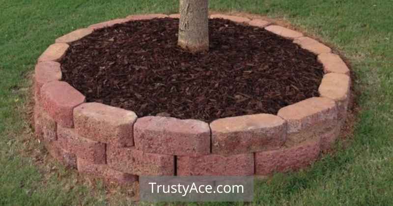 Stone Edging Landscape Border Ideas