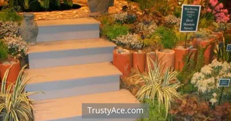 Terracotta Pipes Edging Landscape Border Ideas