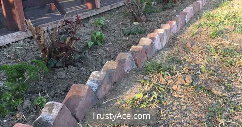 Tilted Brick Landscape Border Ideas