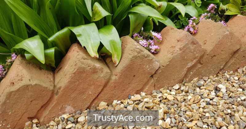 Landscape Border Ideas With Tilted Brick