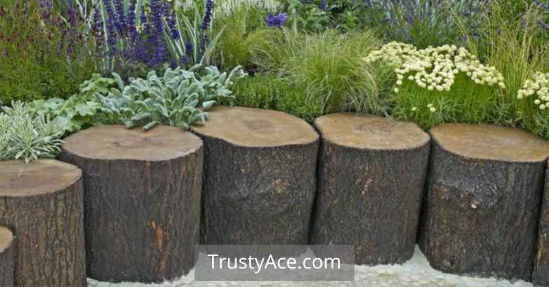 Natural Landscape Border Ideas With Vertical Tree Stump