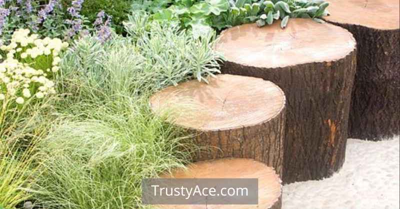 Vertical Tree Stump Landscape Border Ideas