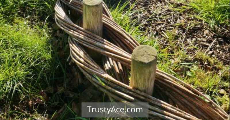 Landscape Border Ideas Using Branches And Sticks