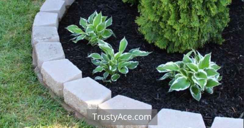 White Stone Landscape Border Ideas