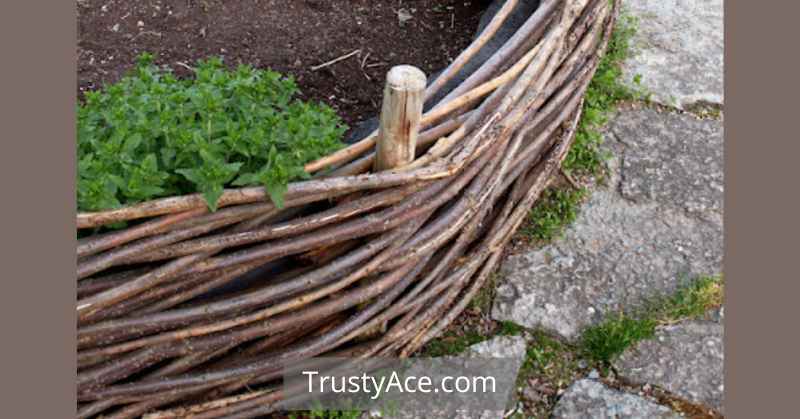 Landscape Border Ideas Willow