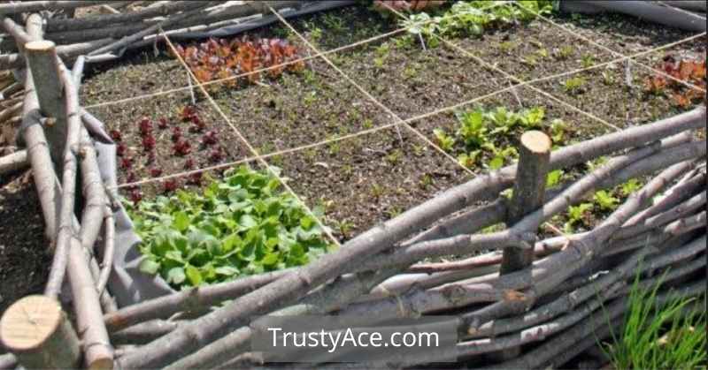 Woven Wood Fences As Inexpensive Landscape Border Ideas