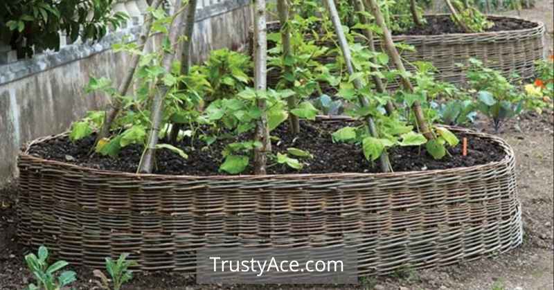 Inexpensive Landscape Border Ideas With Woven Wood Fences