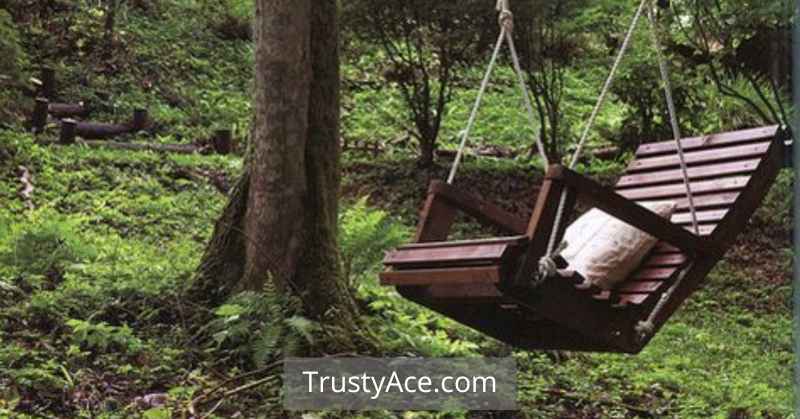 Tree Swing Ideas Vintage